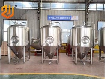 Tangki Penapaian Bir Industri Kraf 1000L